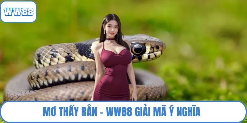 Mơ thấy rắn